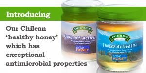 Introducing our Chilean 'Healthy Honey'